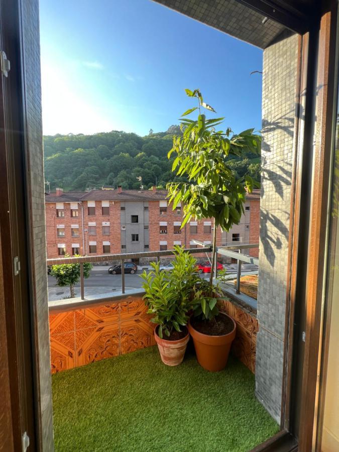 מיירס Mountain View Apartment מראה חיצוני תמונה