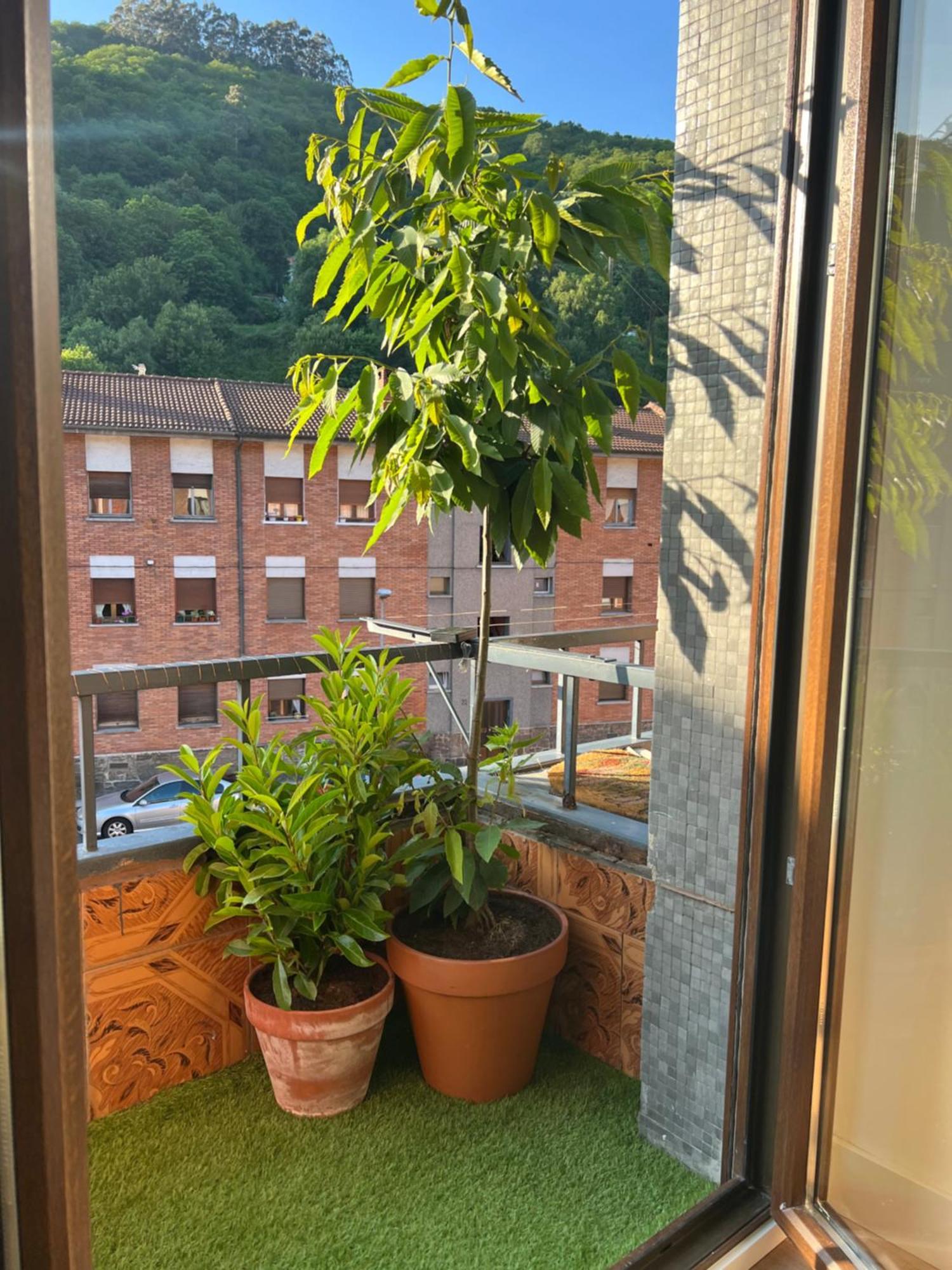 מיירס Mountain View Apartment מראה חיצוני תמונה